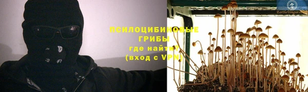 spice Абаза