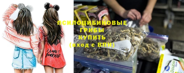 гашик Абдулино