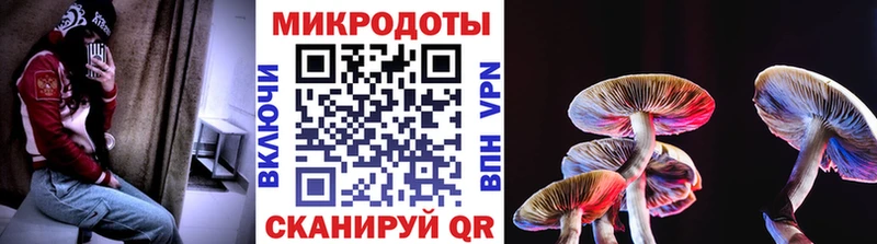 Галлюциногенные грибы Psilocybe Красково