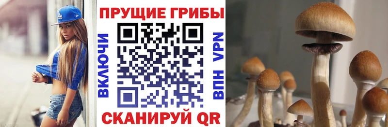 цена наркотик  mega сайт  Псилоцибиновые грибы ЛСД  Красково 